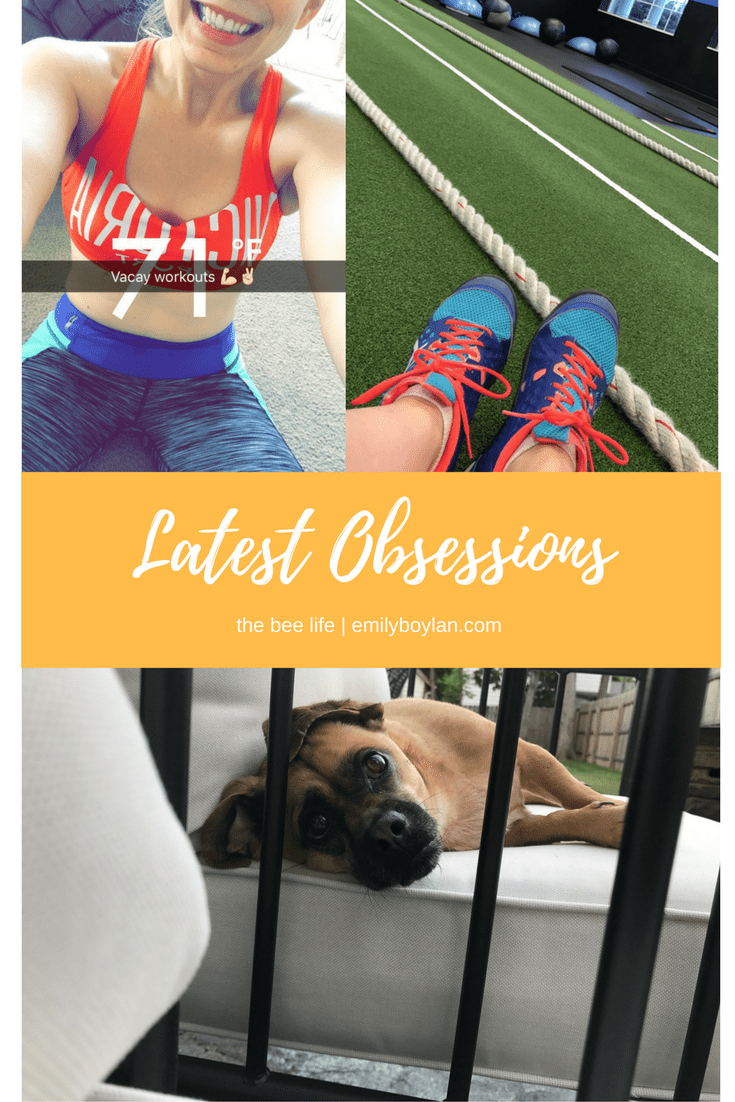 Latest Obsessions 06.17 - the bee life