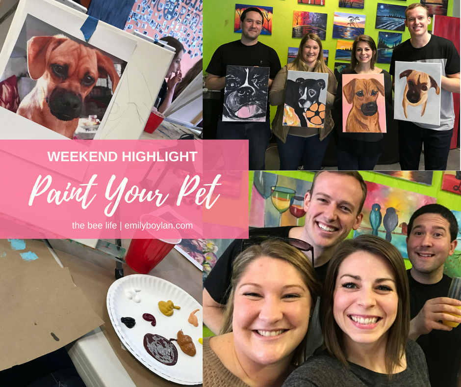 WH - Paint Your Pet - the bee life(1)