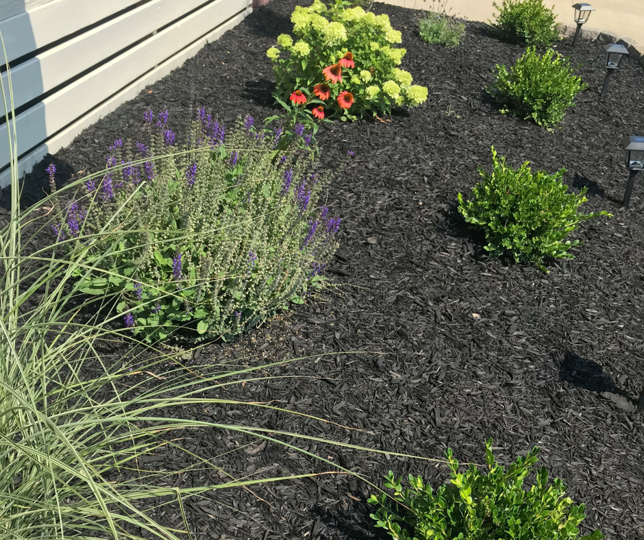 14House Tour - Front Landscape - bee life blog