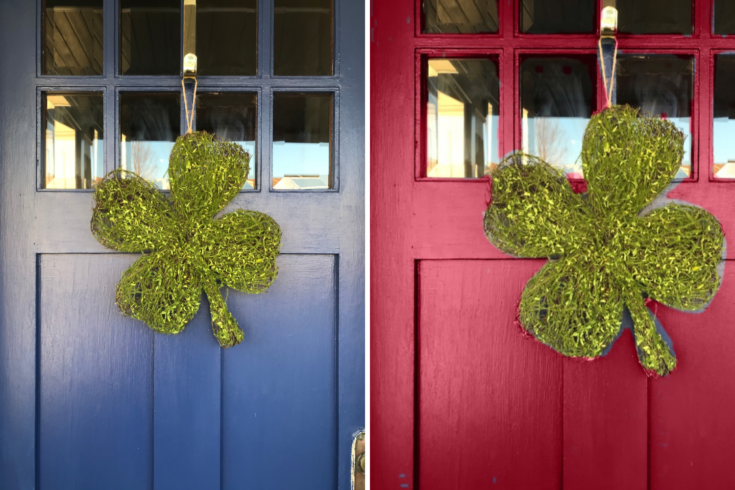 Latest Obsessions 02.19 - the bee life1