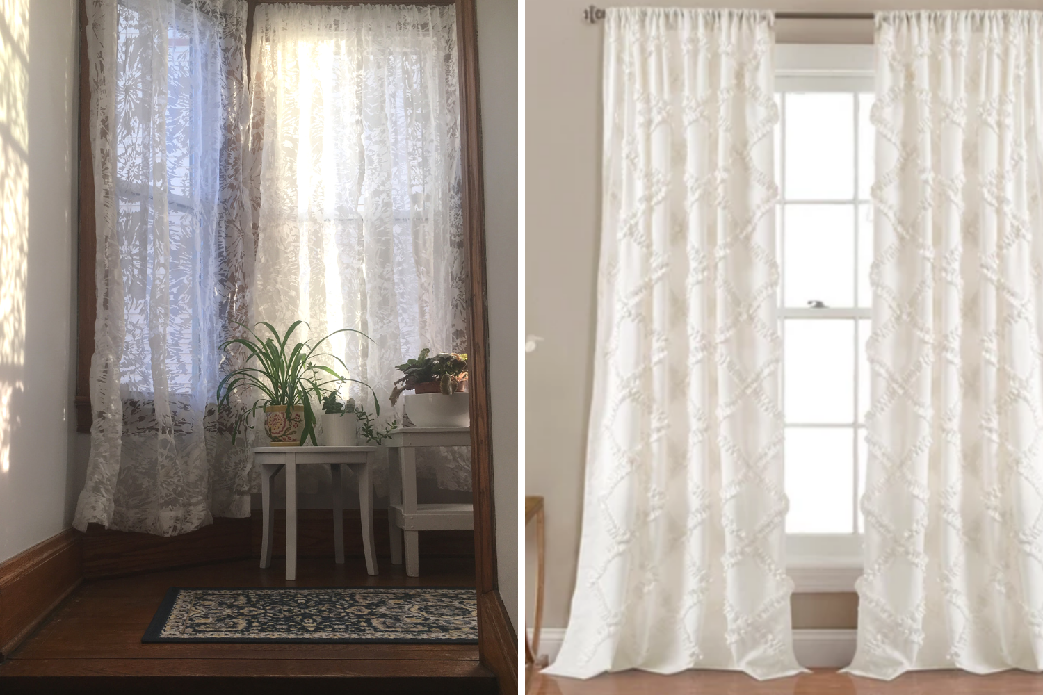 Latest Obsessions 02.19 - the bee life2