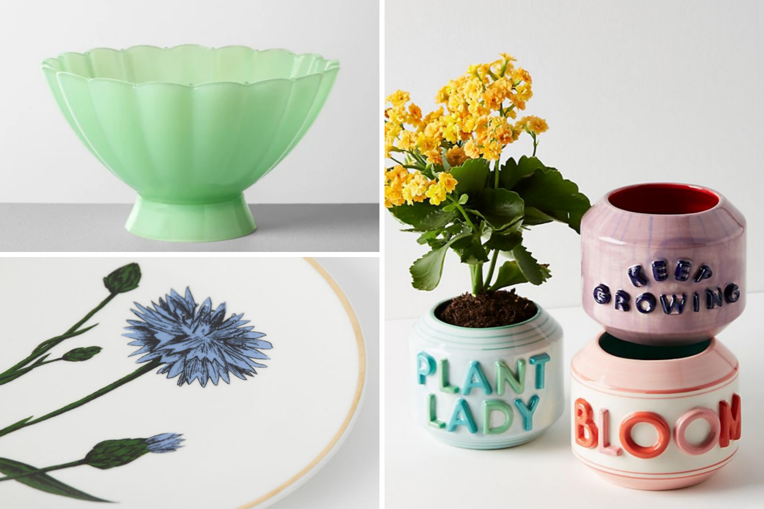 Spring Fever (2) - the bee life