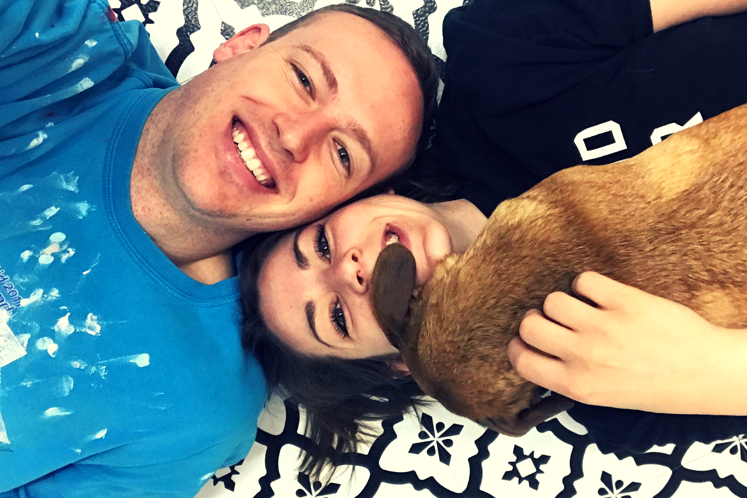 Eight - the bee life