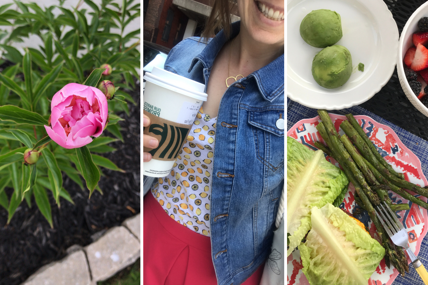 Life Lately - the bee life(1)