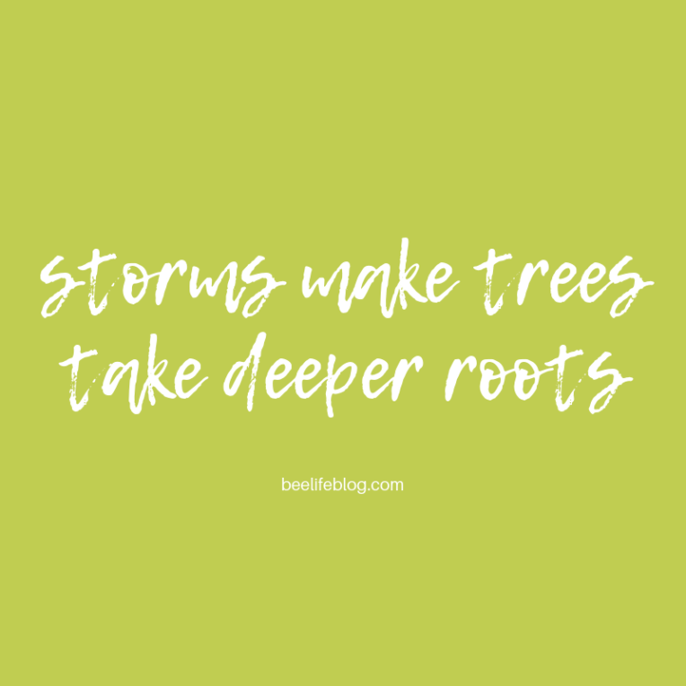 Fitness Friday 07.19 - the bee life