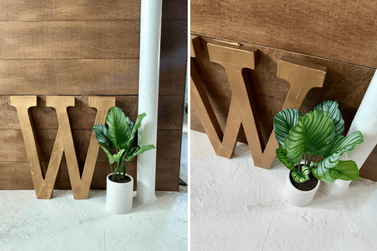 Latest Obsessions - faux - beelifeblog(3)