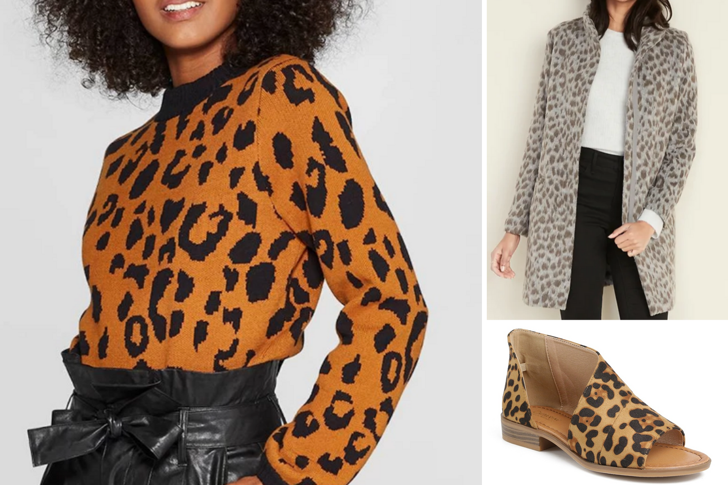 Leopard(2) - beelifeblog