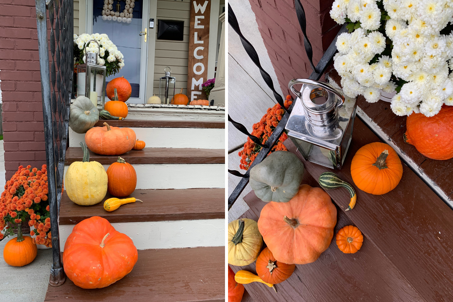 FallPorch19-beelife(1)