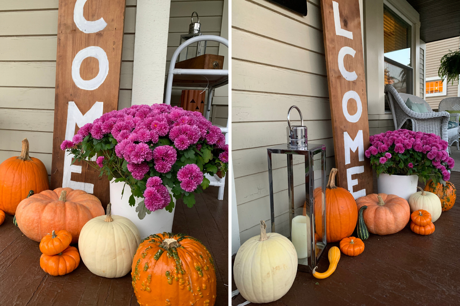 FallPorch19-beelife(2)