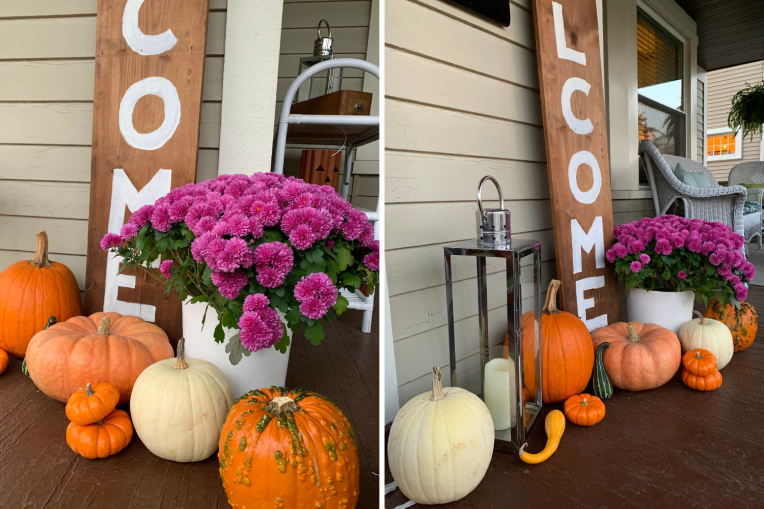 FallPorch19-beelife(2)