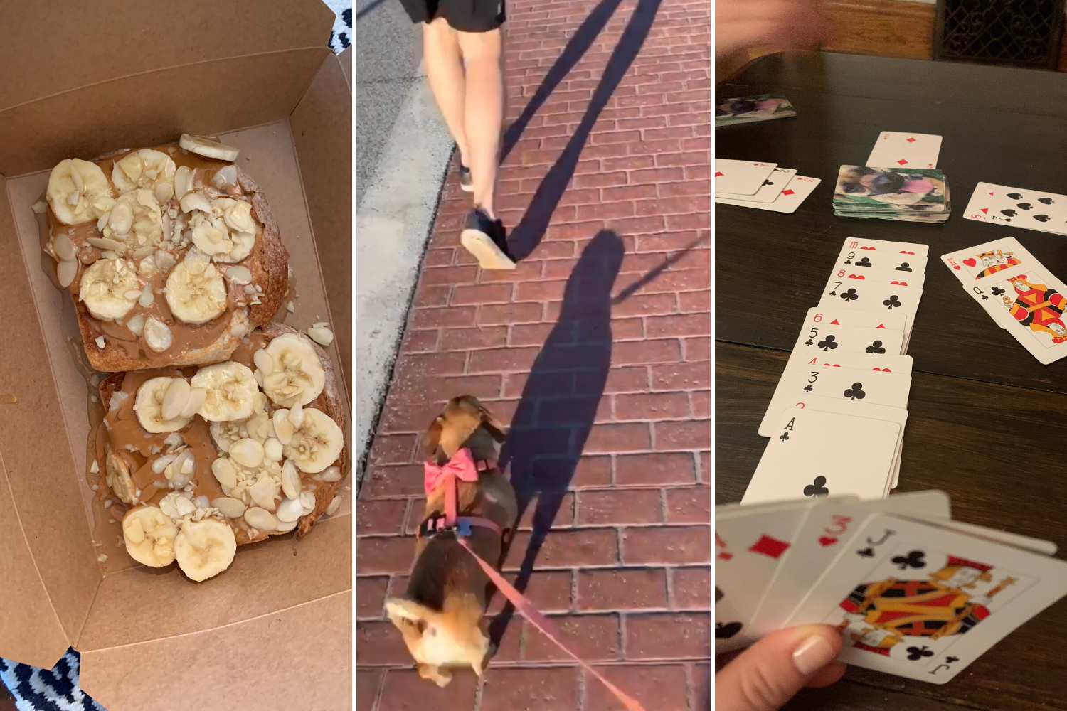 LatestObsessions03.20-beelifeblog